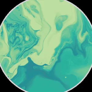 Halcyon Decaf